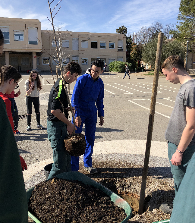 Lire la suite à propos de l’article HOPE 2 BE TREE CHALLENGE