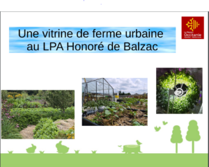 Lire la suite à propos de l’article Le projet ferme urbaine