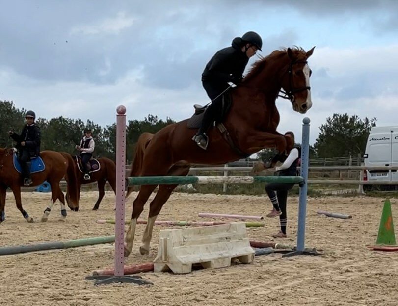 You are currently viewing Zoom sur l’enseignement optionnel technologique facultatif : Hippologie Equitation