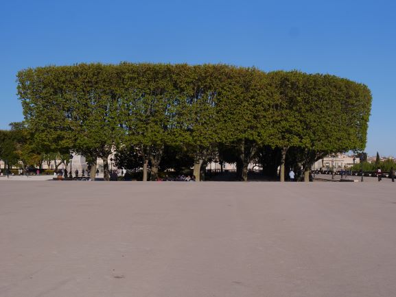 Lire la suite à propos de l’article Visite de la promenade royale du Peyrou à Montpellier