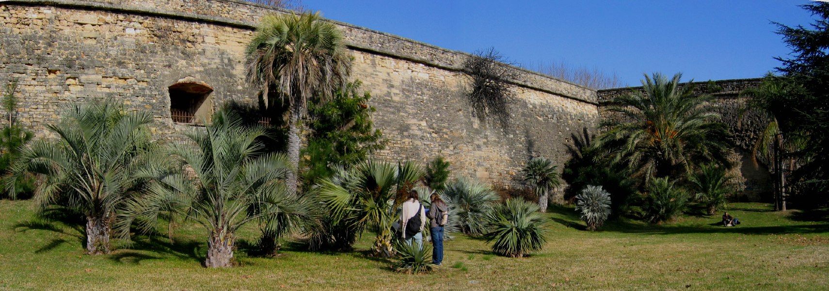 You are currently viewing Visite de la palmeraie au pied de la citadelle Joffre de Montpellier