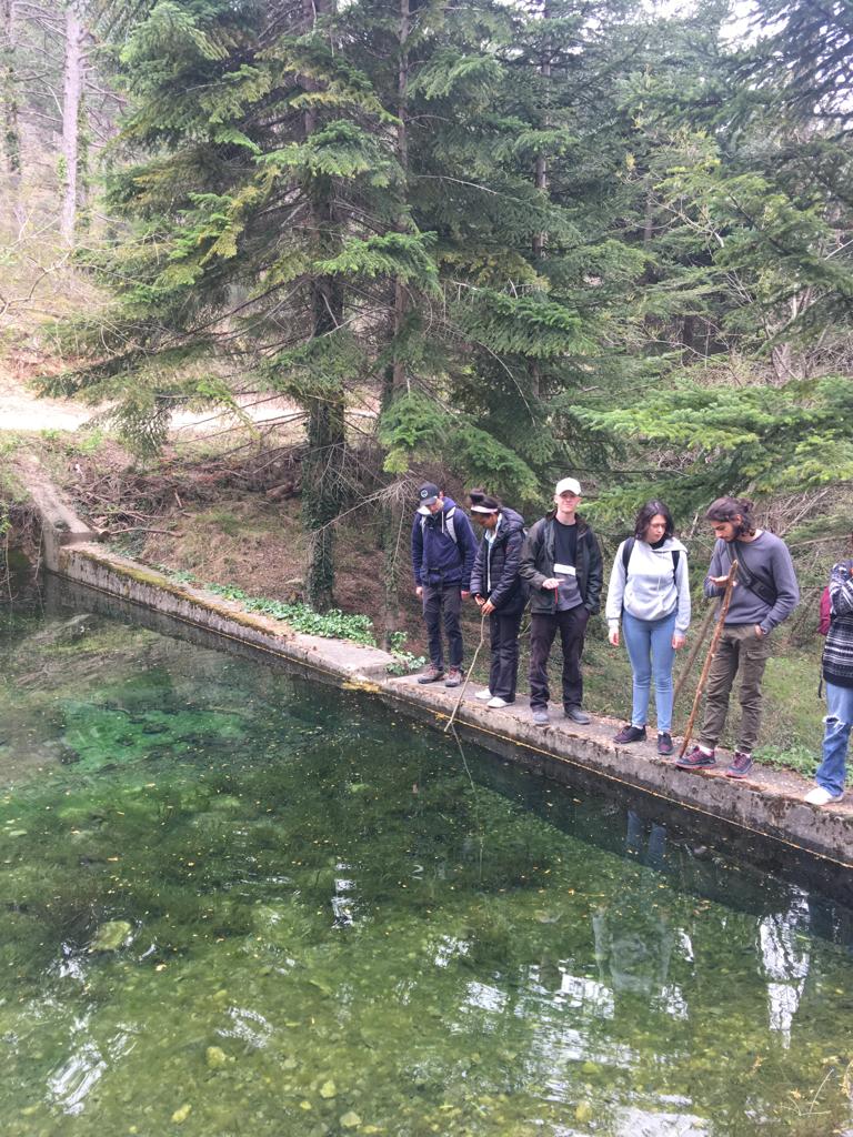 Lire la suite à propos de l’article Sortie forêt des élèves de 1ère Sciences et Technologie de l’Agronomie et du Vivant en présence d’un garde forestier de l’Office National des Forêts