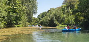 Lire la suite à propos de l’article Les élèves de première bac pro « Conduite de Production Horticole » grimpent dans les arbres et descendent le Lez en canoë