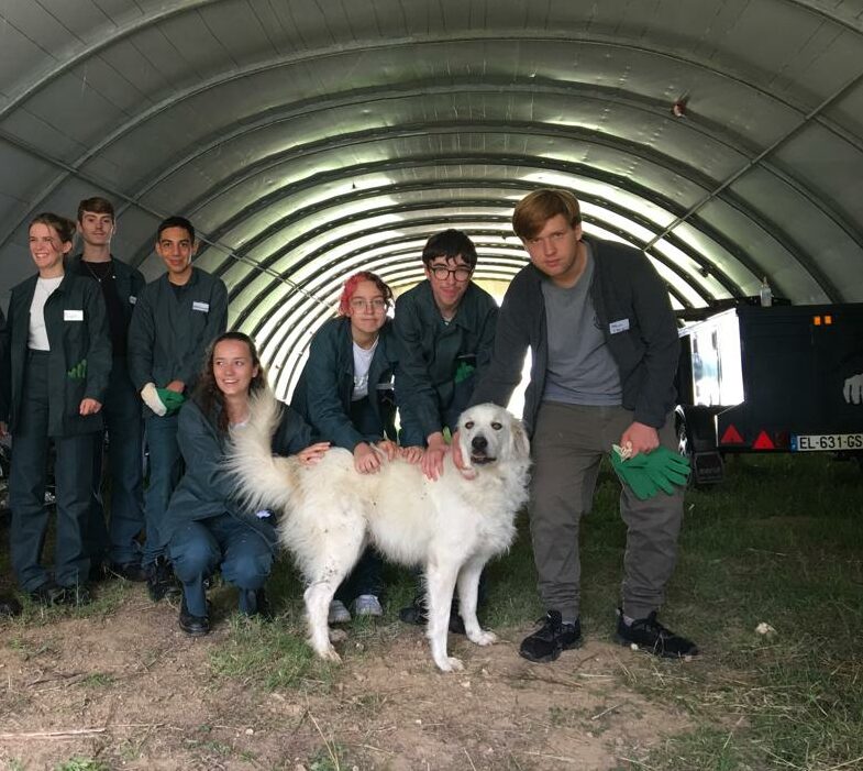 You are currently viewing Premier jour à la ferme pédagogique pour les élèves qui suivent l’enseignement facultatif initiation au métier de  soigneur animalier !