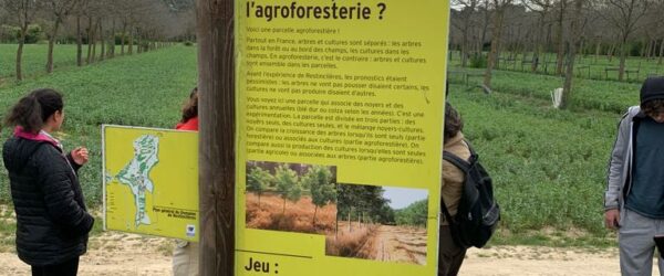 Les premières STAV découvrent les systèmes agroforestiers !