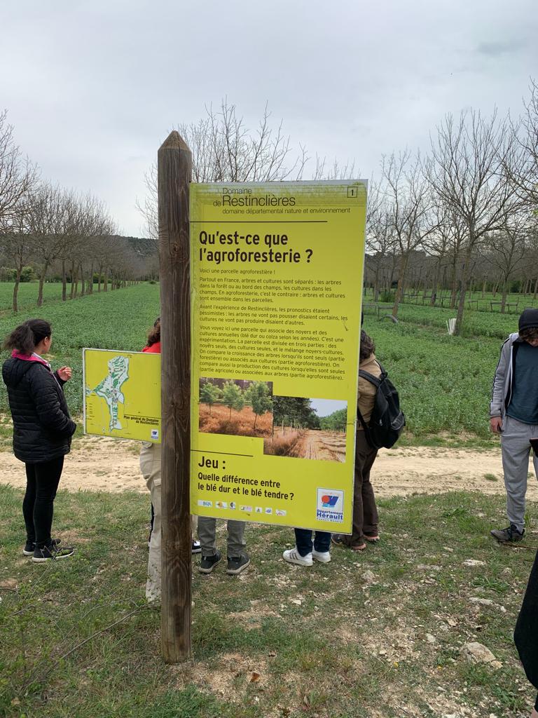 Lire la suite à propos de l’article Les premières STAV découvrent les systèmes agroforestiers !