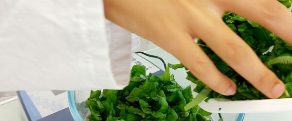 En EPI, les élèves de 3ième analysent les aliments.