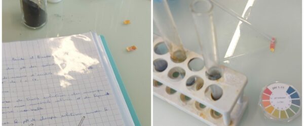 Les aventures des chimistes de 3ème EADP : la spectaculaire métamorphose du fer