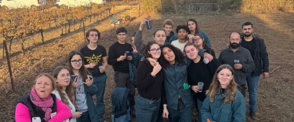 Une après midi dans la ferme de Justine pour les STAV de l’option sensibilisation Soigneurs Animaliers