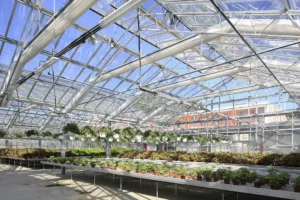 Lire la suite à propos de l’article Une exposition d&rsquo;art gratuite au lycée Honoré de Balzac, le 15 avril