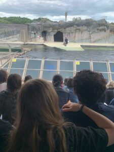 Lire la suite à propos de l’article Sortie au Seaquarium pour les premières STAV de l’option soigneur animalier