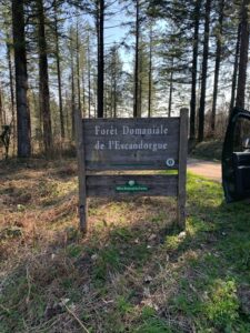 Lire la suite à propos de l’article Une journée pour les premières STAV, dans la forêt d’Escandorgues avec un garde forestier de l’ONF
