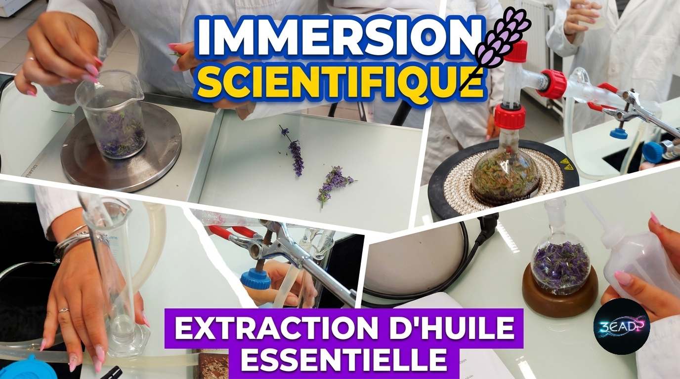 You are currently viewing Immersion scientifique : nos élèves de 3eme EADP à la découverte de la distillation ! 🪻🧪