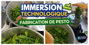 Lire la suite à propos de l’article Immersion dans la halle technologique : nos élèves de 3eme EADP en plein atelier pesto ! 🌿